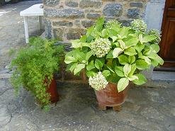 Monstery of Koufi Petra Crete, Het klooster van Koufi Petra op Kreta