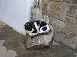 Monstery of Koufi Petra Crete, Het klooster van Koufi Petra op Kreta