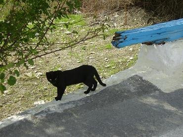 Kufi, Argiroupoli, Crete, Kreta.