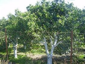 Lake Agia, Lake Agias, Crete, Kreta.