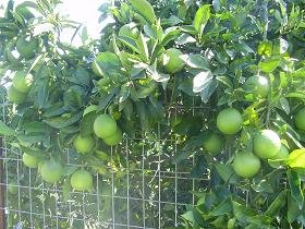 Lake Agia, Lake Agias, Crete, Kreta.
