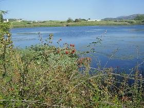 Lake Agia, Lake Agias, Crete, Kreta.