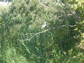 Lake Agia, Lake Agias, Crete, Kreta.