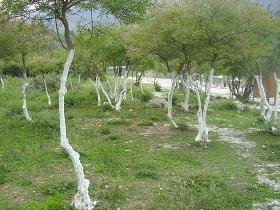 Lake Kournas, Crete, Kreta