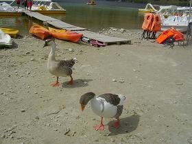 Lake Kournas, Crete, Kreta