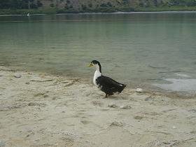 Lake Kournas, Crete, Kreta