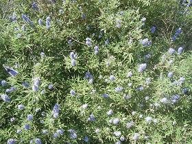 Lakki Beach, Frangokastelo, Crete, Kreta