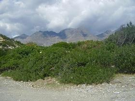 Lakki Beach, Frangokastelo, Crete, Kreta