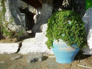 Lambros Taverna Kreta, Crete, Tertsa