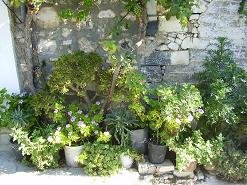 Limnes, Kreta, Crete.