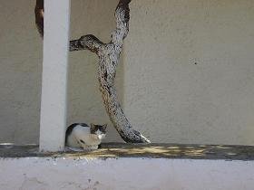 Megala Chorafia, Aptera, Kreta, Crete