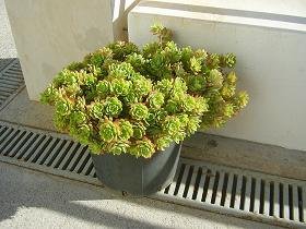 Melampbes, Crete, Kreta