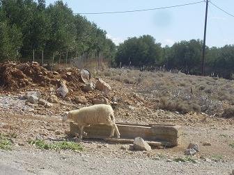 Nomikiana, Crete, Kreta.