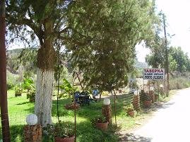 Nopigia, Taverne Caf� Porto Alegre, Crete.