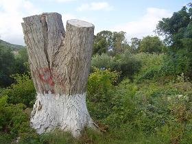 Nopigia, church of Agios Pandeleimonas, Kreta.