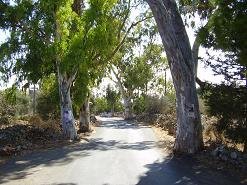 Palailoni, Crete, Kreta