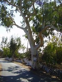 Palailoni, Crete, Kreta