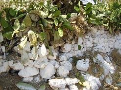 Palailoni, Crete, Kreta