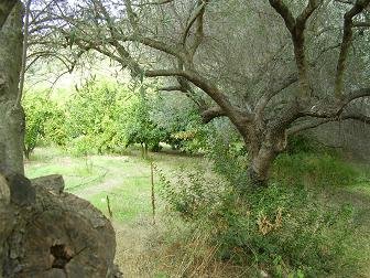 Palia Vrisi, Galatas, Chania, Crete