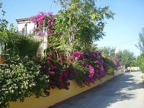 Plaka, Almyrida, Almirida Beach, Kreta, Crete