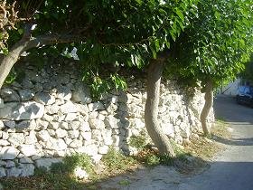 Plaka, Almyrida, Almirida Beach, Kreta, Crete