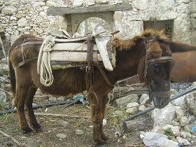 Polyrrinia, Polirinia, Polyrrhenia, Polirrinia, Crete, Kreta.