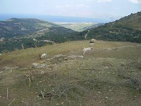 Polyrrinia, Polirinia, Polyrrhenia, Polirrinia, Crete, Kreta.