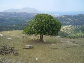 Polyrrinia, Polirinia, Polyrrhenia, Polirrinia, Crete, Kreta.