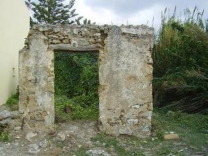 Rapaniana, Chania, Kreta, Crete