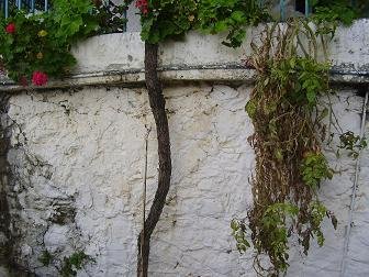 Sisarha, Anogia, Crete, Kreta