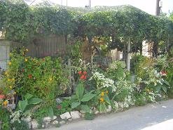 Sisi en Epano Sisi, Kreta