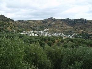 Sikologos, Tertsa, Mirtos, Kreta