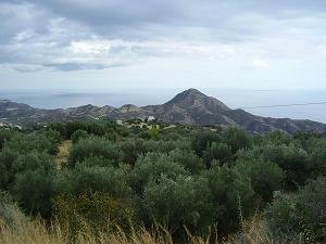 Sikologos, Tertsa, Mirtos, Kreta