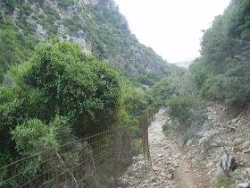 Tsichliano Gorge, Crete, Tsichliano kloof, Kreta.