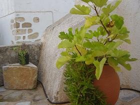 Villa Atlantis, Plaka, Almyrida Beach, Apokoronas, Kreta, Crete