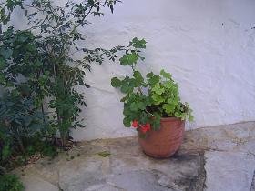 Villa Atlantis, Plaka, Almyrida Beach, Apokoronas, Kreta, Crete