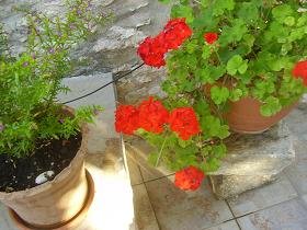 Villa Atlantis, Plaka, Almyrida Beach, Apokoronas, Kreta, Crete