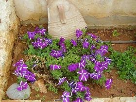 Villa Renata, Megala Chorafia, Apokoronas, Chania, Crete
