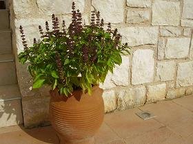 Villa Renata, Megala Chorafia, Apokoronas, Chania, Crete