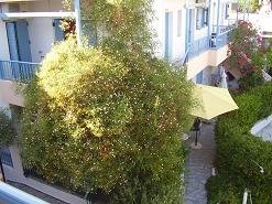 Villa Mertiza, Mirtos, Crete, Kreta