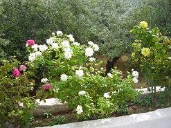 Zakros, Crete, Kreta.