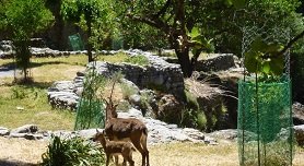 Agia Roumeli, Crete, Kreta