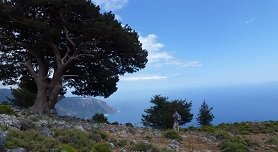 Agia Roumeli, Crete, Kreta