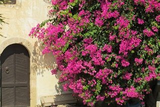 Toplou Monastery, Crete, Kreta