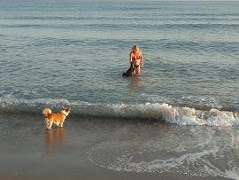 Livadia Beach, Kissamos, Kreta, Crete