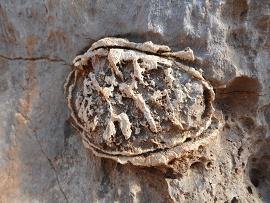 Kolokytha Beach, Spinalonga, Elounda, Crete, Kreta