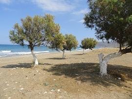 Kavros Beach, Crete, Kreta