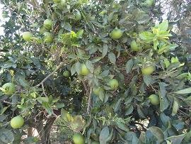Gerani Beach, Crete, Kreta