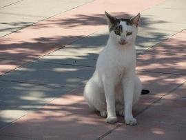 Gerani Beach, Crete, Kreta