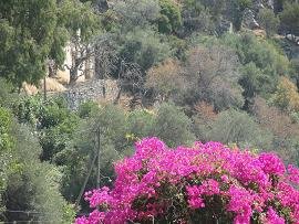 Kampos, Kissamos, Kreta, Crete